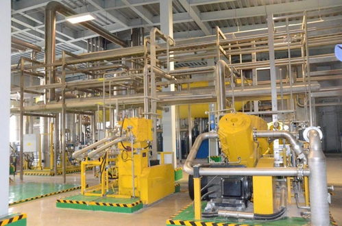 黑龙江 迈向绿色制造新赛道 注入转型发展新动力